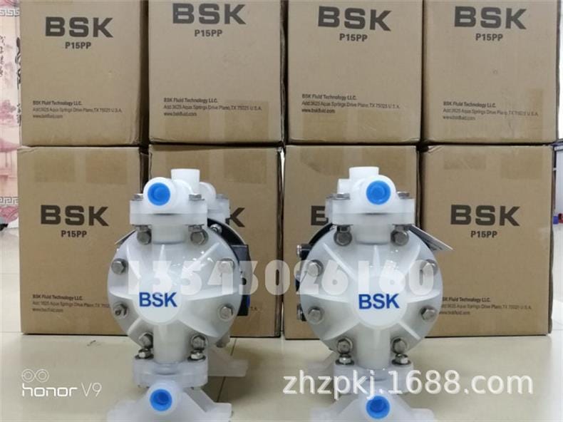 001-BSK塑料泵3.jpg