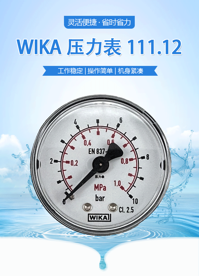 111.12.050压力表_01