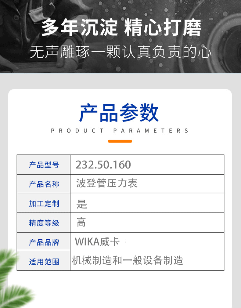 232.50.160压力表_04