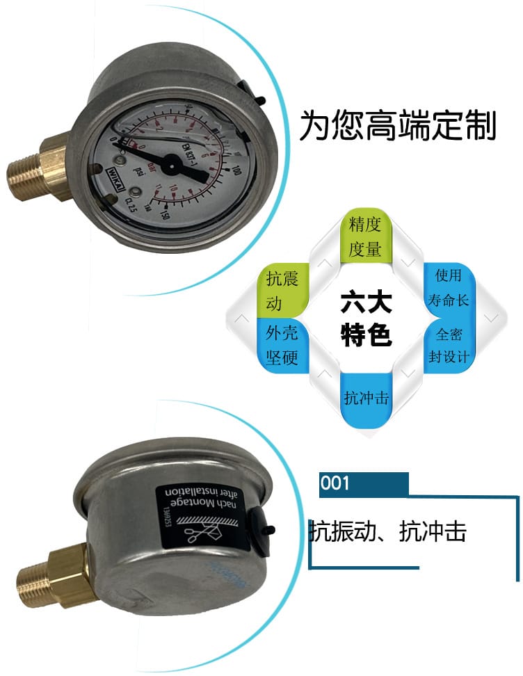 113.53型波登管压力表_04