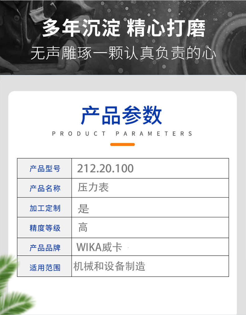 212.20.100压力表_04