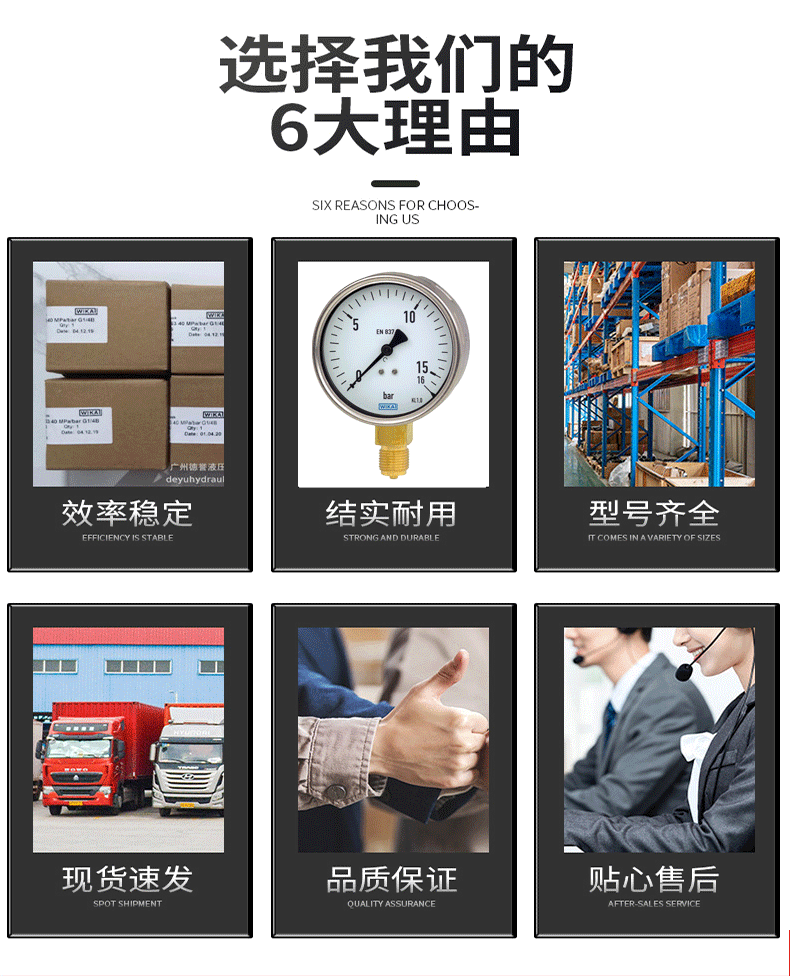 212.20.100压力表_10