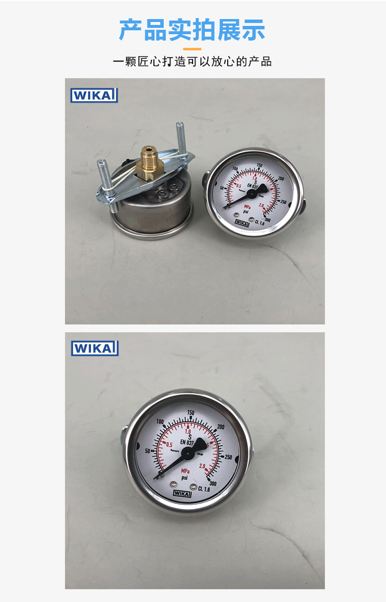 213.53.050压力表_06