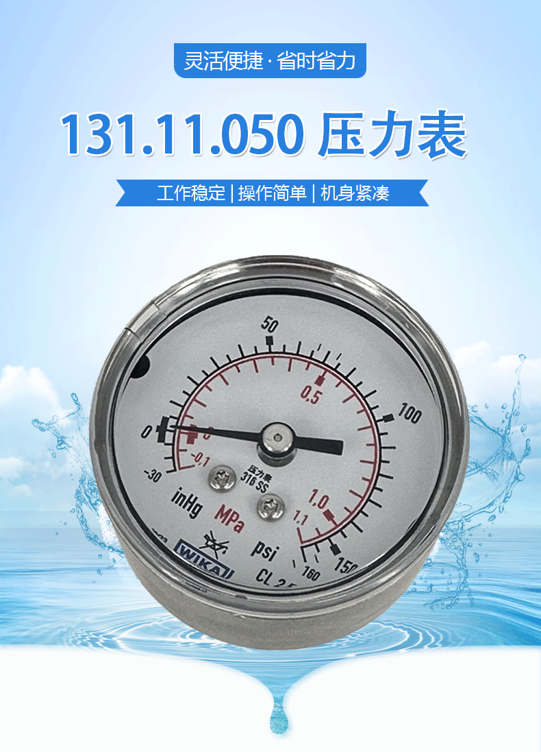 131.11.050压力表_01