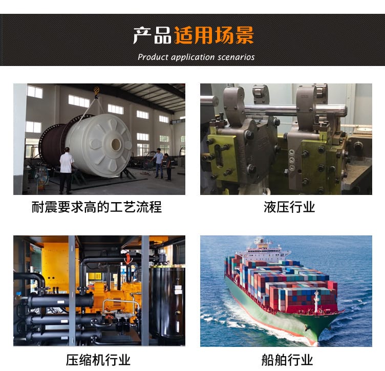 232.50.160压力表2_07