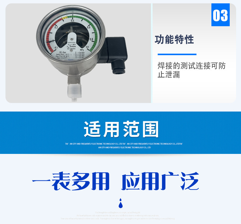 GDM-100气体密度表2_05