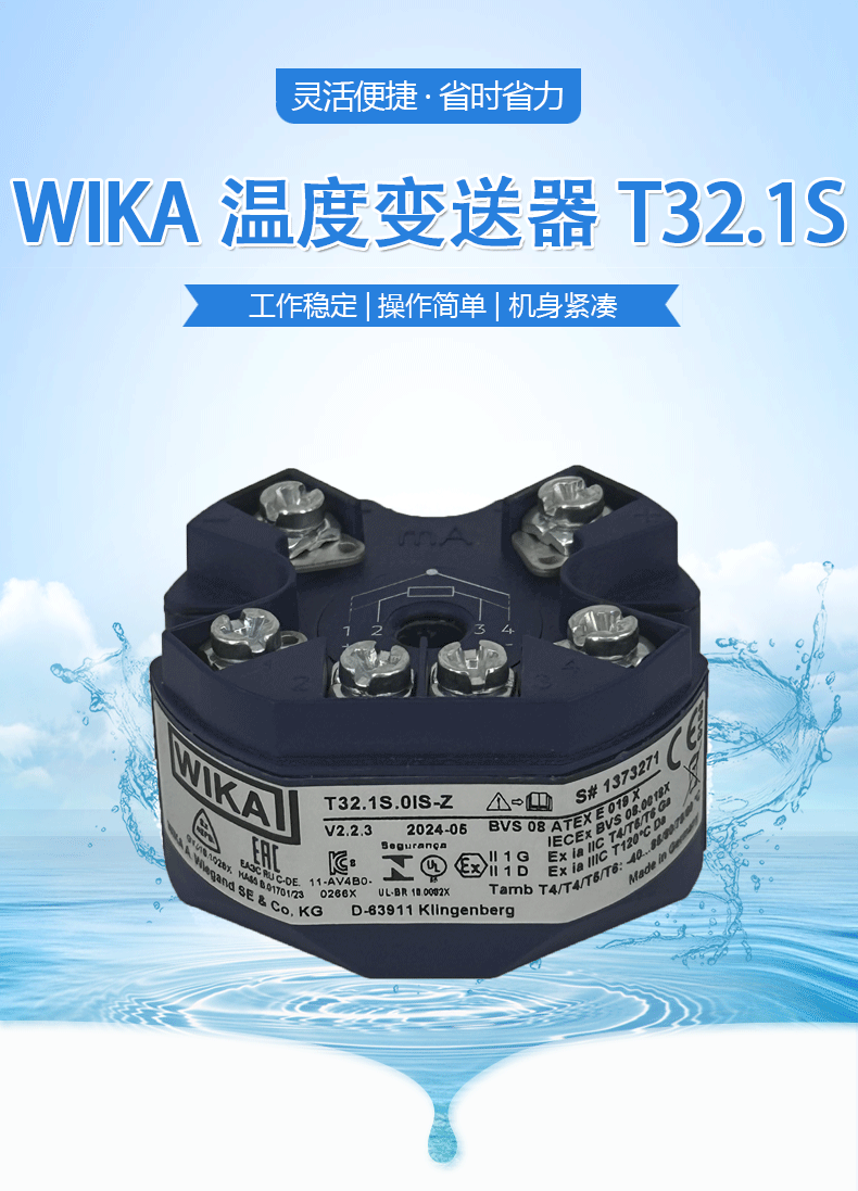 温度变送器T32.1S-2_01