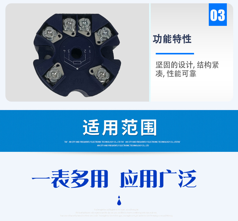温度变送器T32.1S-2_05