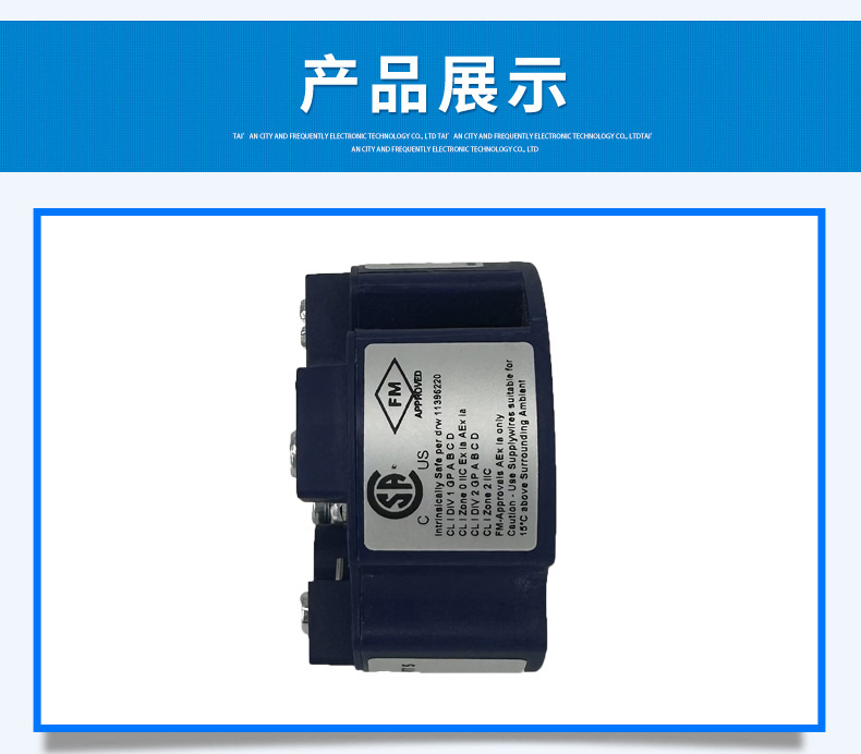 温度变送器T32.1S-2_07