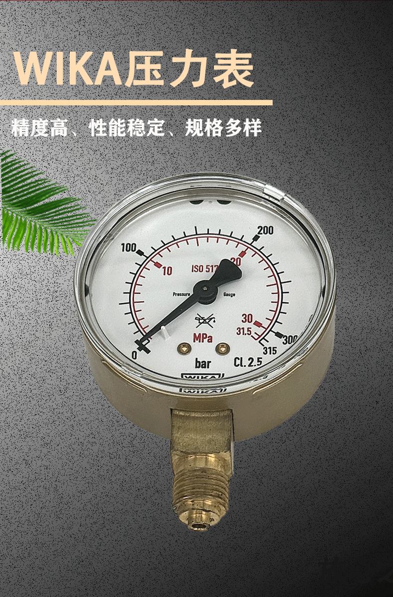 111.11.063压力表_02