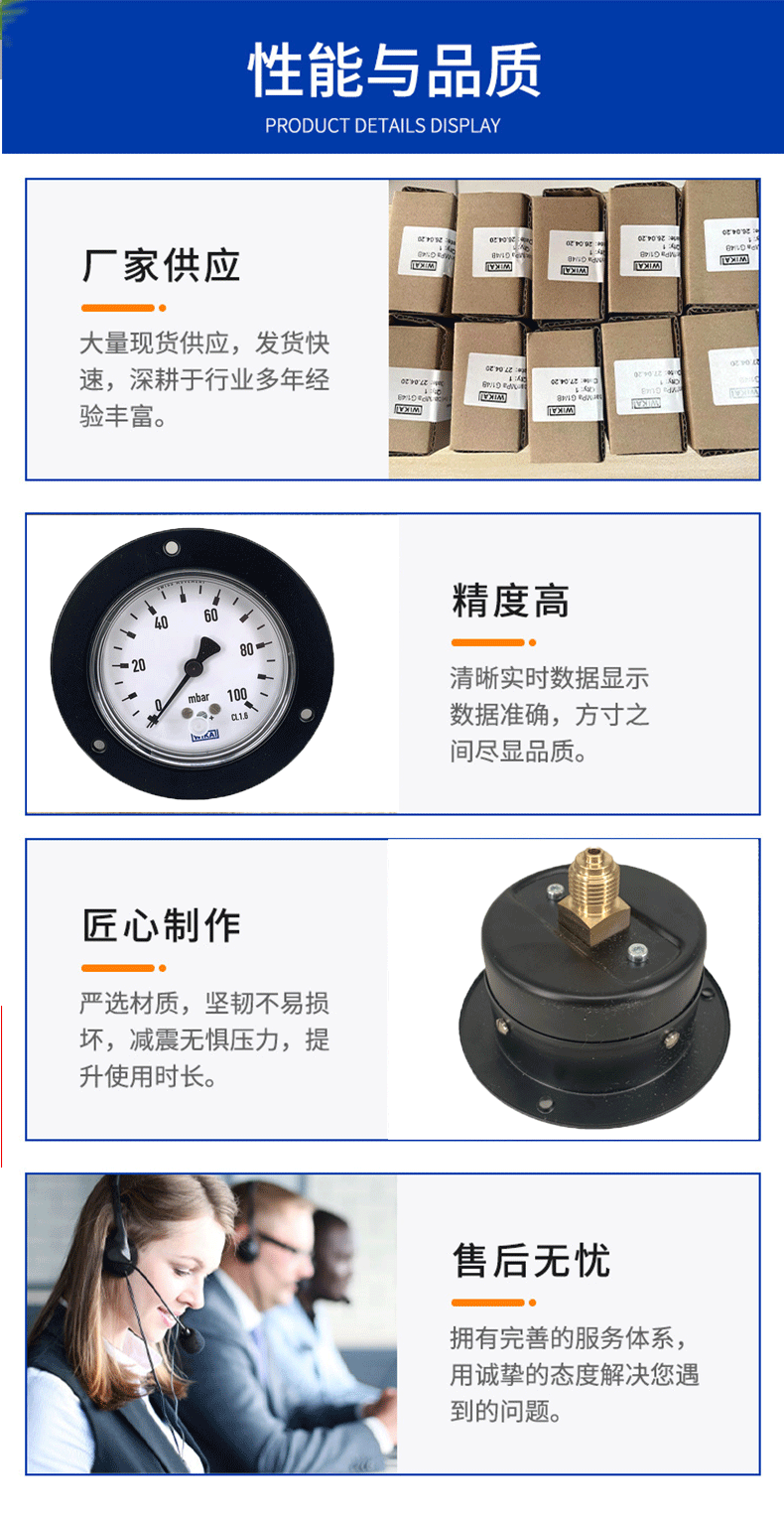 611.10.063膜盒压力表_04