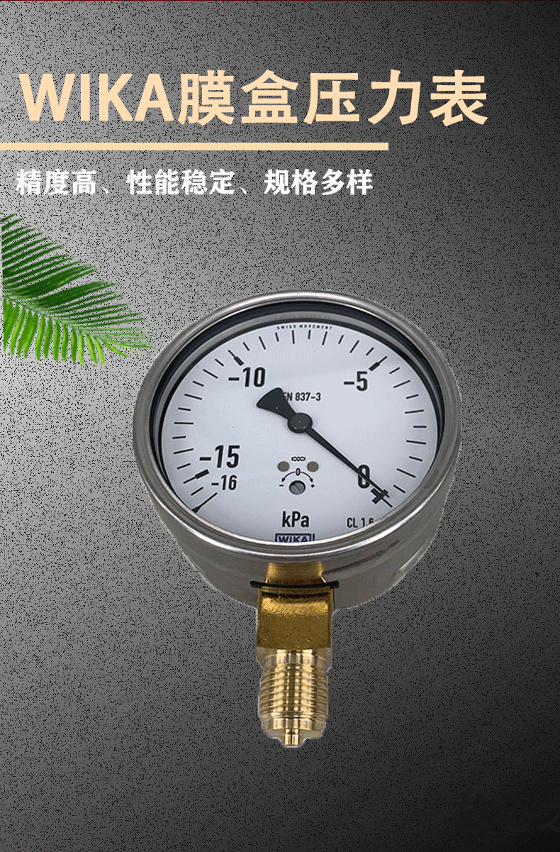 612.20.100压力表3_02