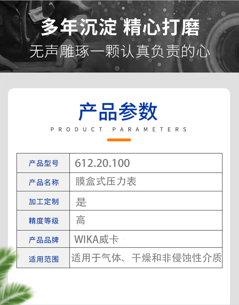 612.20.100压力表3_04