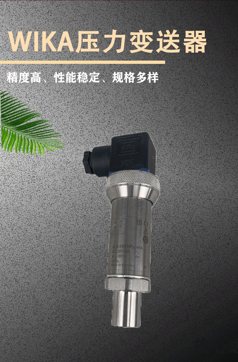 P-30压力变送器_02